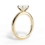 Allison Princess Cut Lab Grown Diamond 18Kt Yellow Gold Engagement Ring - View 4