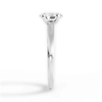 Adriana Oval Cut Lab Grown Diamond Platinum Engagement Ring - View 2