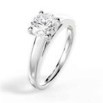 Adriana Round Cut Lab Grown Diamond Platinum Engagement Ring - View 2
